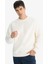 Relax Fit Bisiklet Yaka Polar Sweatshirt F3685AX25WN 9