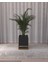 Ahşap Dekoratif Saksılık | 30 x 50 Boyutunda | %100 Mdf 3