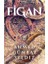 Figan 1