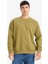 Relax Fit Bisiklet Yaka Kalın İçi Yumuşak Tüylü Basic Düz Sweatshirt T5139AZ25AU 3
