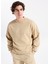 Bisiklet Yaka Bej Erkek Sweatshırt 50525892_DAPOCREW 3