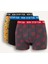 Regular Fit Desenli 3'lü Boxer B4782AX25AU 13
