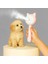 Kedi ve Köpekler İçin Buharlı Masaj Fırçası 3