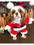 Şenlikli Noel Baba Köpek Kostüm Seti – Küçük Irklar Için Sıcak Polyester Tulum, Kazak Tasarım Evcil Hayvan Kıyafeti-L Beden 6