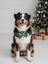 Kardan Adam Köpek Papyon Tasması | Yeşil Kırmızı Fiyonk Boyun Aksesuarı | Noel Temalı Köpek Süsü | Orta ve Büyük Irklar Için 4