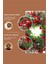 45 cm (17.71 Inç) Festive Yapay Noel Çelengi – Çam Yaprakları ve Kırmızı Meyveler | Klasik Duvar & Kapı Süsü | Elektrik Gerektirmez | Ev ve Parti Dekoru Için Ideal 8