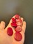 8 Adet Bordo Düğme Set Çap 3 cm 2