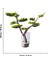 El Yapımı Cam Vazo Bonsai | Gerçek Okaliptus Gövdesi | Doğal Taşlı Masa & Ev Dekoru 4