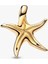 Gold Renk Işıltılı Mavi Denizyıldızı Sallantılı Charm S925 2