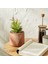 Saksı Yapay Bitki 23 cm 1