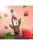 Saphori Çilek Aromalı Kokteyl Şurubu, Çilek Şurubu, Kahve Şurubu 700 ml 1
