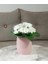Dahil, Dahil, Çiçek,beyaz Yapay Çiçek, Pembe Petek Desenli Poliresin 8X8X15CM 3