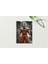 Gym Goku Anime A5 Metal Spiralli Çizgisiz Sert Kapak Anime Defter 1
