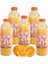 Dondurulmuş Sıkma Portakal Suyu 3 Adet x 950 ml. 4