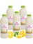 Dondurulmuş Doğal Limonata Şeker İlavesiz 5 Adet 900 ml. 4