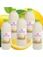 Dondurulmuş Doğal Limonata Şeker İlavesiz 5 Adet 900 ml. 5