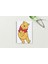 Winnie The Pooh A5 Metal Spiralli Çizgisiz Sert Kapak Winnie The Pooh Defter 1