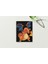 Pokemon (Charizard) A5 Metal Spiralli Çizgisiz Sert Kapak Pokemon Defter 1