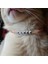 Isma Özel Tasarım Kedi Köpek Tasması 3