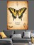 Kelebek Eski Kağıt Doğa Dekoratif Kanvas - Mdf Ahşap Tablo 5