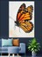 Turuncu Siyah Kral Kelebeği Dekoratif Kanvas - Mdf Ahşap Tablo 2