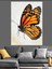 Turuncu Siyah Kral Kelebeği Dekoratif Kanvas - Mdf Ahşap Tablo 5