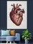 Kalp Anatomik Detaylı Sanat Dekoratif Kanvas - Mdf Ahşap Tablo 1