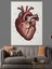 Kalp Anatomik Detaylı Sanat Dekoratif Kanvas - Mdf Ahşap Tablo 2