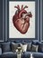 Kalp Anatomik Detaylı Sanat Dekoratif Kanvas - Mdf Ahşap Tablo 4