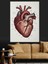 Kalp Anatomik Detaylı Sanat Dekoratif Kanvas - Mdf Ahşap Tablo 5