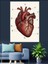 Anatomik Insan Kalp Çizimi Dekoratif Kanvas - Mdf Ahşap Tablo 1
