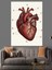 Anatomik Insan Kalp Çizimi Dekoratif Kanvas - Mdf Ahşap Tablo 2