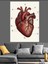Anatomik Insan Kalp Çizimi Dekoratif Kanvas - Mdf Ahşap Tablo 3