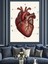 Anatomik Insan Kalp Çizimi Dekoratif Kanvas - Mdf Ahşap Tablo 4