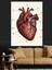 Anatomik Insan Kalp Çizimi Dekoratif Kanvas - Mdf Ahşap Tablo 5