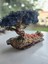Bonsai Model Masaüstü Dekor – El Yapımı, Gerçek Ağaç Gövdesi, Mavi Şoklanmış Yosun Ağaç 3