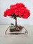 El Yapımı Kırmızı Bonsai Ağaç Dekoru – Doğal Dal Gövde & Akrilik Tabanlı Masaüstü Süs 1