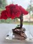 El Yapımı Kırmızı Bonsai Ağaç Dekoru – Doğal Dal Gövde & Akrilik Tabanlı Masaüstü Süs 4