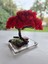 El Yapımı Kırmızı Bonsai Ağaç Dekoru – Doğal Dal Gövde & Akrilik Tabanlı Masaüstü Süs 5