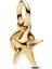 Gold Renk Gümüş Denizyıldızı Çift Sallantılı Charm 2