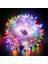 10M 100 LED Boncuk Lamba Rgb Işık Şeffaf Kablo 1