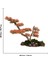 El Yapımı Turuncu Bonsai Ağaç Dekoru – Doğal Ağaç Kabuğu Tabanlı Masaüstü Biblo 6