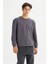 Erkek Pamuk Regular Fit Bisiklet Yaka Gri Sweatshirt - 1