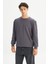 Erkek Pamuk Regular Fit Bisiklet Yaka Gri Sweatshirt - 3