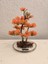 El Yapımı Epoksi Tabanlı Bonsai Ağaç Dekoru – 3 Renk Seçeneği (Yeşil, Kırmızı, Turuncu) 1