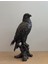 Kartal Figürü 70×25×40 cm | Siyah Eskitme Polyester Heykel | Büyük Boy Doğal Detaylı Dekoratif Obje 3