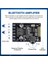 20W Stereo Bluetooth Güç Amplifikatör Kartı 12V / 24V Yüksek Güçlü Dijital Güç Amplifikatör Kartı XY-P15W Kabuksuz (Yurt Dışından) 5