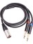 Çift 6 35MM 1/4 In Xlr Erkek Y Ayırıcı Kablosu 3pin Xlr Erkek Ila Çift 6 35MM Fiş Ses Mikrofon Kablosu 3 3 Feet/1metre (Yurt Dışından) 1