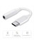 USB C Ila 3 5 mm Jack Aux Adaptörü Tip-C 3 5 Dijital Dac Ses Kablosu Adaptörü Kulaklık Aksesuarları Beyaz (Yurt Dışından) 2