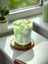 Lce Matcha Latte Candle Dekoratif Mum 9x7 Soya Wax Mum Fresh Esanslı 7